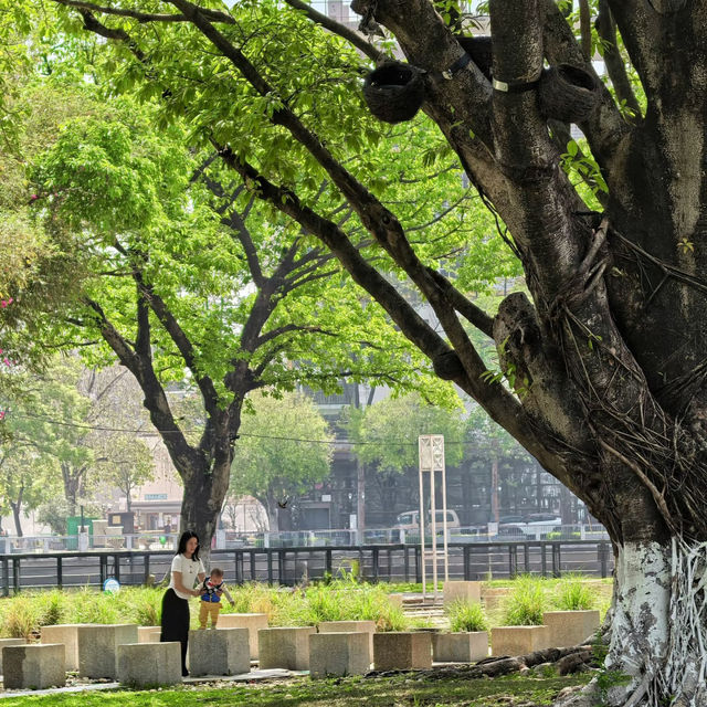 中山美術館江邊絕美公園🍃🌴👒太適合遛娃啦！