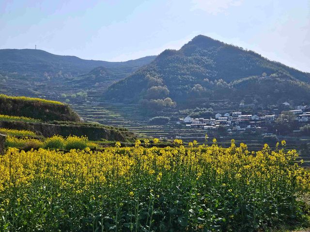 覆卮山千年梯田—大地上的金色詩行