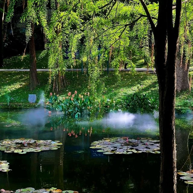 綠野仙蹤｜越秀公園💚藏於廣州鬧市的絕美抹茶小森林🌳
