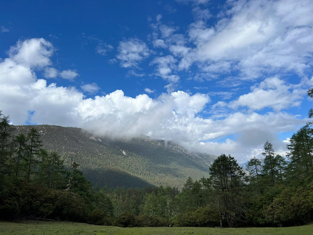 奔赴哈巴雪山腳下的綠野仙蹤——蘭花坪超全攻略