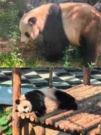 大連森林動物園