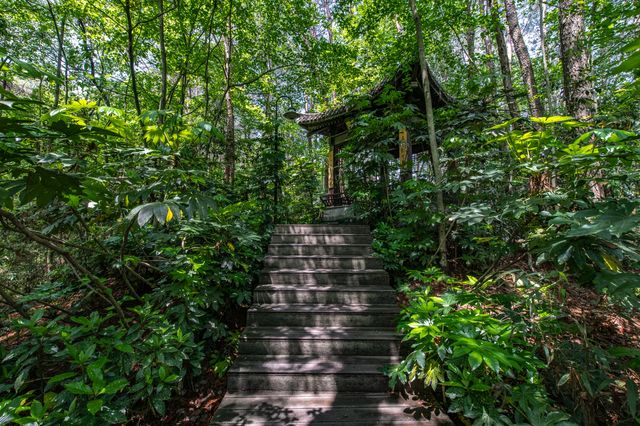 屯溪稽靈山：黃山市區不多見的原生態公園，森呼吸的絕佳去處！