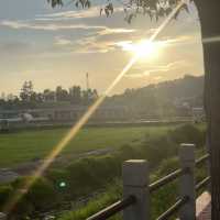 中山曹邊村｜狀元路，10分鐘竹林秘境🌳治愈解壓天花板