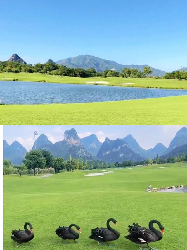 希望呢份攻略可以幫到你規劃一次完美嘅桂海晴嵐之旅！祝你旅途愉快！