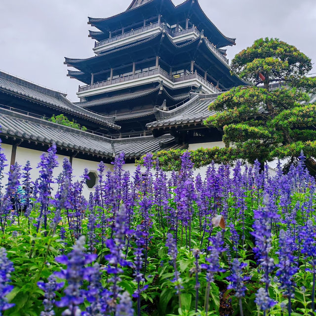 廣州文化館｜闖入莫奈花園的紫色夢境花海💜 