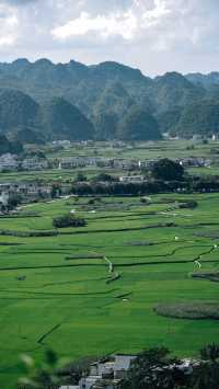 峰林為幕·稻浪為席——萬峰林田園生活真的很美