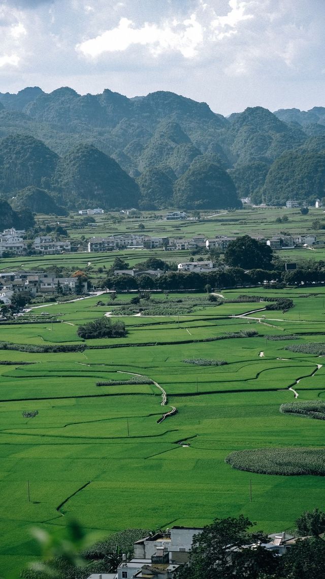 峰林為幕·稻浪為席——萬峰林田園生活真的很美