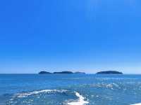 探索綠野仙蹤