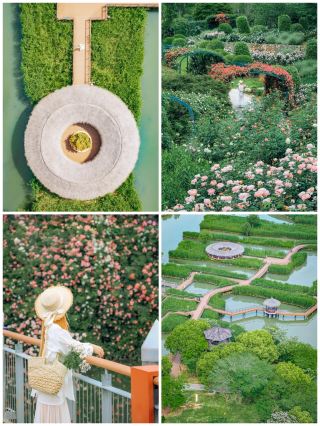 Water Town × Walled Village | Wuzhen & Southern Jiangxi Walking Guide