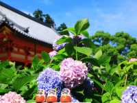 日本關西秘境──大阪勝尾寺