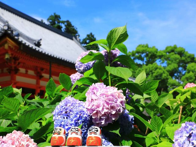 日本關西秘境──大阪勝尾寺