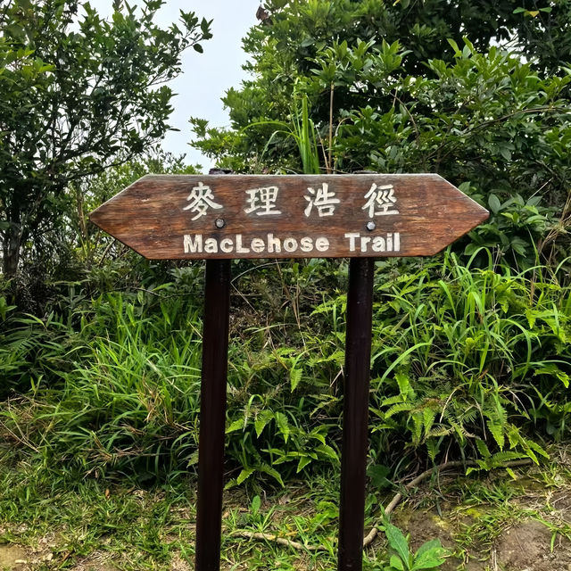 麥理浩徑第四段：攀山觀海，解鎖香港秘境的終極攻略