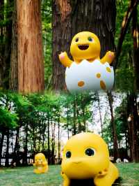 青山湖嘅抹茶綠森林免費入園攻略，話走就走