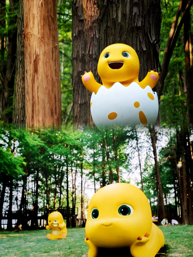 青山湖嘅抹茶綠森林免費入園攻略，話走就走