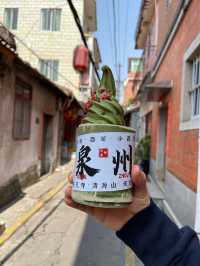 《泉州 | 半城煙火半城仙的靈魂洗滌之旅》
