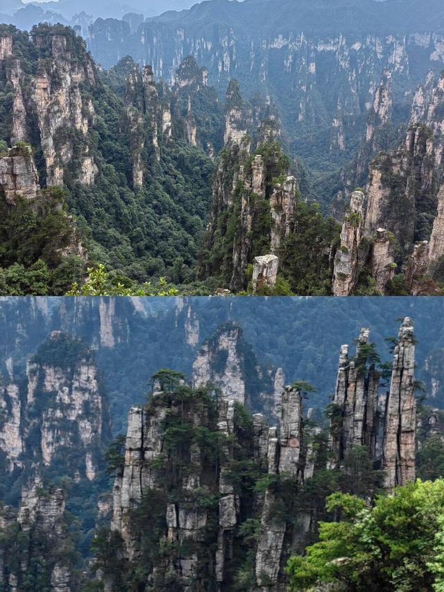 【天門山懶人包｜雲端漫步玻璃棧道尖叫體驗