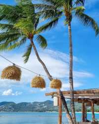 蘇梅島|泰國嘅夏日永不落幕