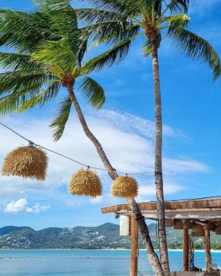 Koh Samui | The Eternal Summer of Thailand