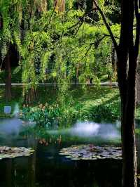 Yuexiu Park Guangzhou is soo Amazing Experience😍🥰