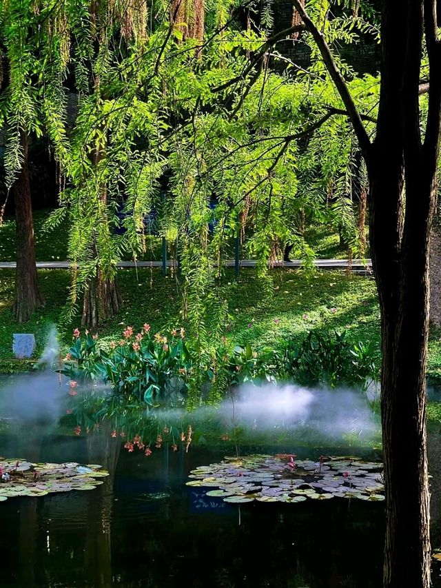 Yuexiu Park Guangzhou is soo Amazing Experience😍🥰