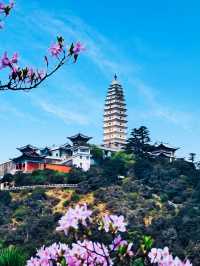 靈秀之地，探索禪意之旅的起點