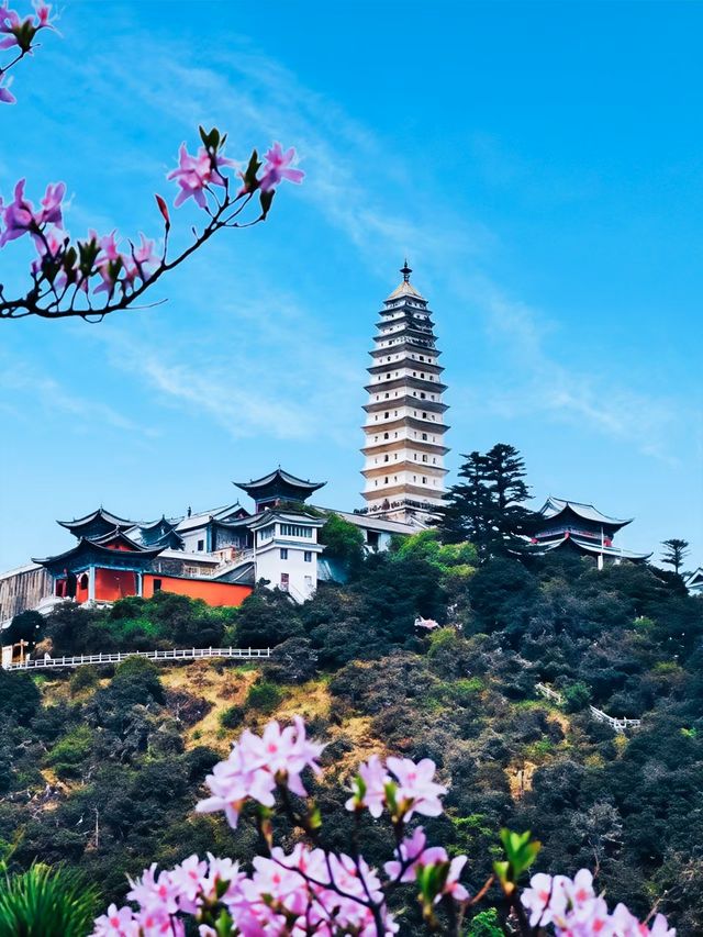 靈秀之地，探索禪意之旅的起點