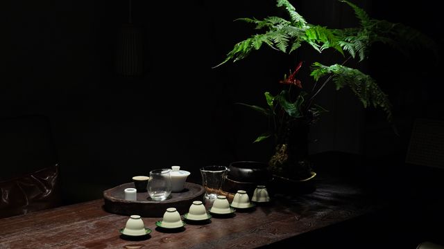 我打卡咗武夷山客來似家茶宿空間（景區南入口店）