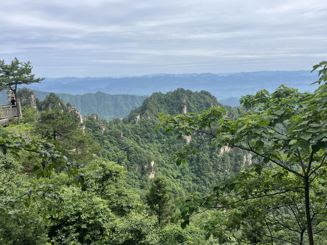 Magical 4 days in Zhangjiajie Park 