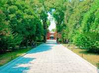 Step into China’s Past for Free: Xi’an Beilin Museum’s Open Door Days