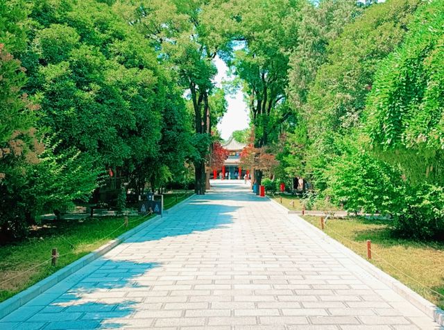 Step into China’s Past for Free: Xi’an Beilin Museum’s Open Door Days
