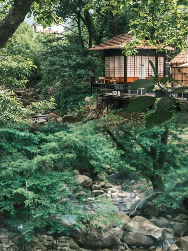 免費溯溪露營！夏日寶藏地大揭秘！