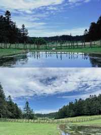 雲端漫步：仙女山嘅心靈之旅