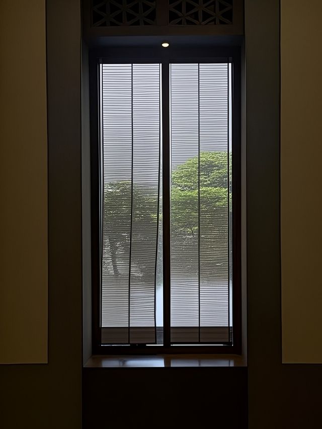 杭州仙境暴擊！娃兒喺富春山居將睡蓮池當成龍王澡堂