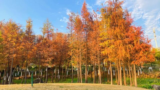 漳州龍文郊野公園：城市中的大自然