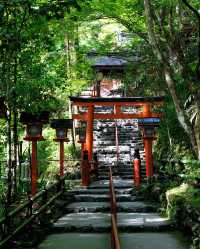 京都限定！！！終於開了！！！！（附攻略）