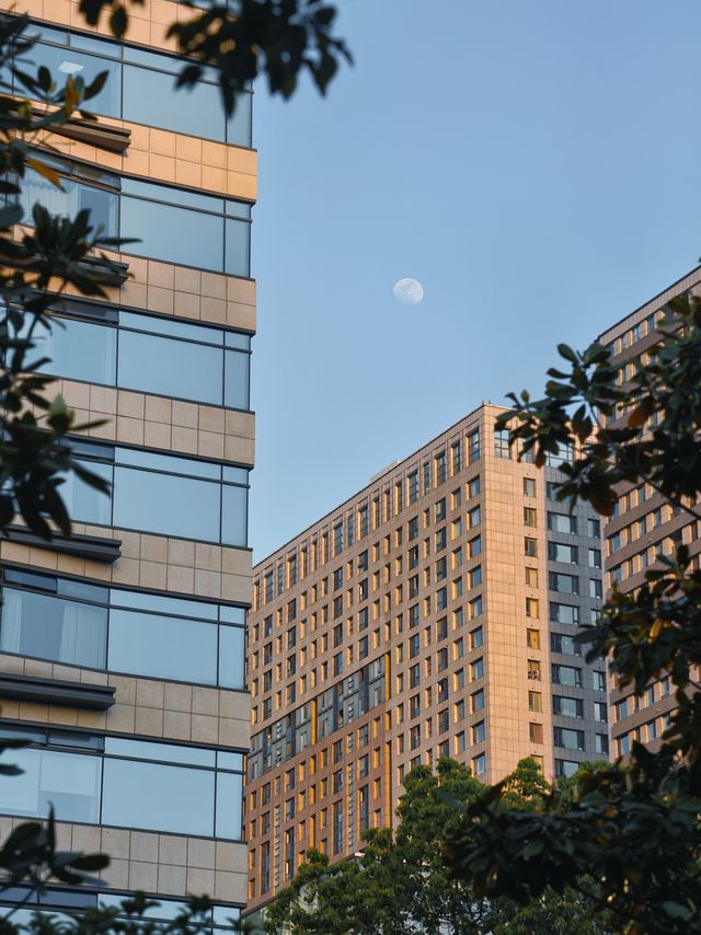 喺合肥街頭，影到小說入面嘅A市