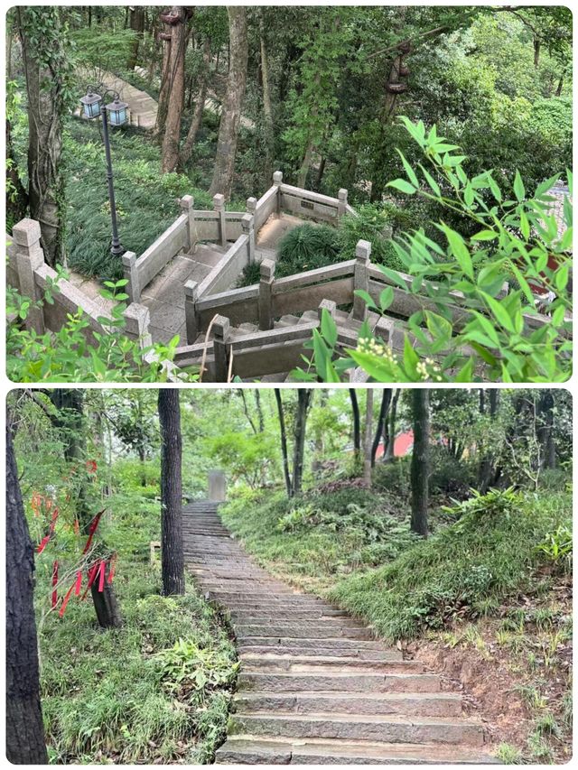 桐君山｜仙氣繚繞嘅江南藥祖秘境