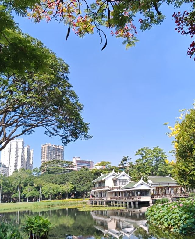 中山公園賞花奇遇！錦江之星品尚酒店畀你超暖心體驗！