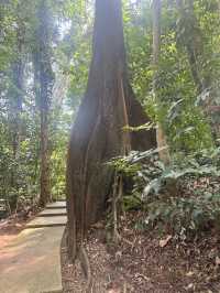 Eco park in the heart of KL