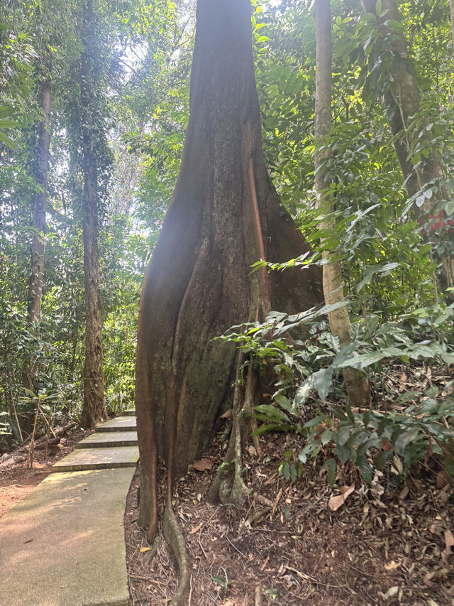 Eco park in the heart of KL