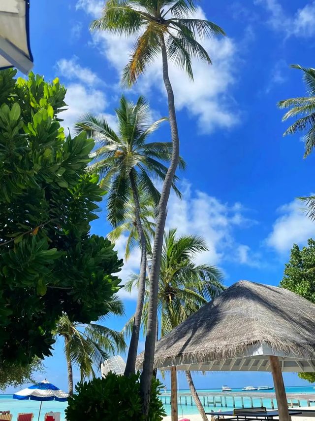 馬爾代夫選島指南｜人均1W都能住進玻璃海天堂