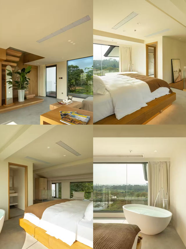 惠州新地標！住進萬畝茶田嘅白月光小屋