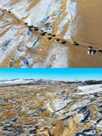賞北國冰雪｜自駕多倫縣，玩轉雪地越野！