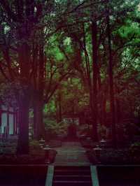 【尋幽探祕：五雲山真跡寺的禪意與金黃詩篇】