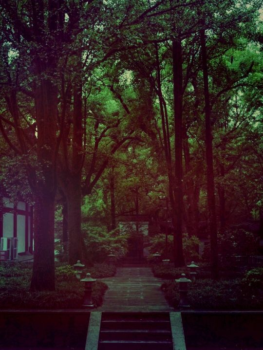 【尋幽探祕：五雲山真跡寺的禪意與金黃詩篇】