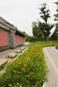 一畝園公園重開