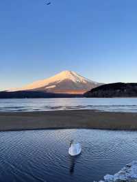 富士山一日遊物語｜雲端漫步指南