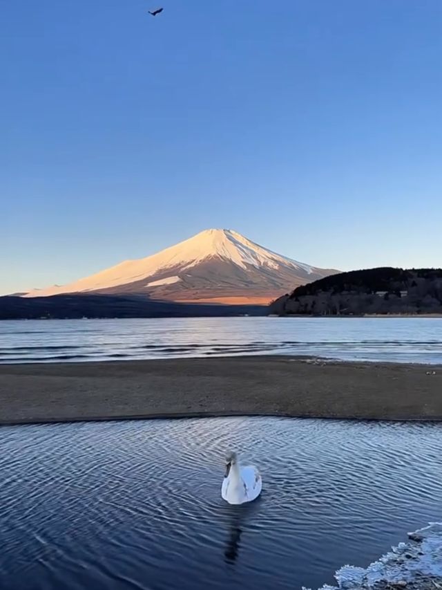 富士山一日遊物語｜雲端漫步指南