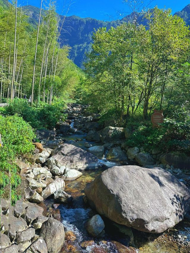 宜春明月山｜硒泉煮月溫禪骨 雲梯漫步叩天扉