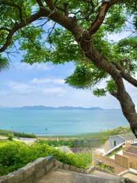 福建平潭 | 風車海與環島路的浪漫三日遊   平潭，又稱「嵐島」，與好望角齊名的世界三大風口之